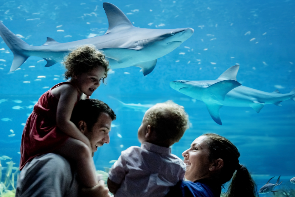 Texas State Aquarium