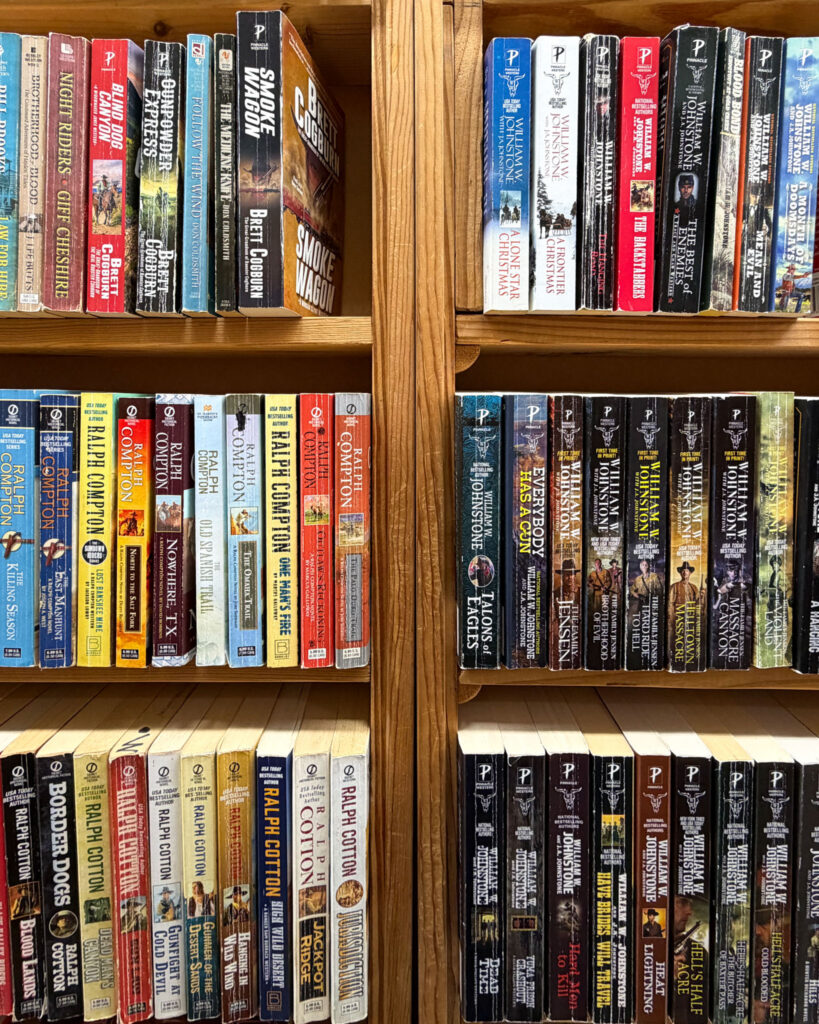 Secondhand paperbacks lining the aisles at Books INK